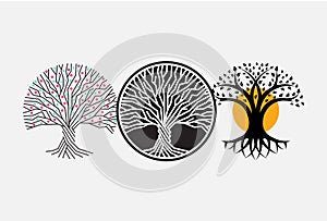 Trunk, root, and branches of tree vector round logo concept. Forest isolated icon on white background. Wisdom symbol for