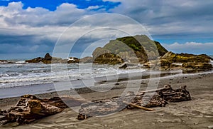 Trunks of fallen trees at low tide on the Pacific Ocean in Olympic, National Park, Washington