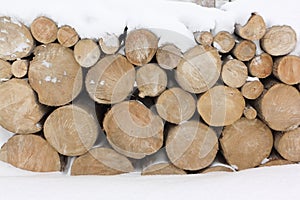 Trunks of trees in a woodpile for heating a home