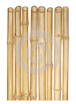 The trunks of various thicknesses of dry bamboo isolated on whit