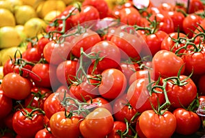 Truss tomatoes for sale in market