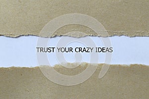 trust your crazy ideas on white paper