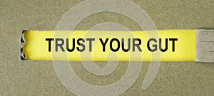 Trust your gut inscription. Follow instincts concept photo