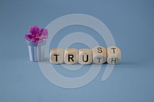Truth or trust symbol. Turned wooden cubes and changes the word Truth to Trust. Beautiful blue background. Pot with flowers.