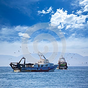 Trwler boats with seagulls in Ibiza Formentera