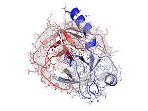 Trypsin enzyme molecule, chemical structure. photo