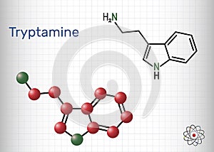 Tryptamine molecule. It is alkaloid, aminoalkylindole. Structural chemical formula and molecule model. Sheet of paper in a cage