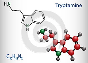 Tryptamine molecule. It is alkaloid, aminoalkylindole. Structural chemical formula and molecule model photo