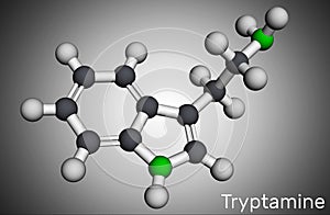 Tryptamine molecule. It is aminoalkylindole. Molecular model. 3D rendering