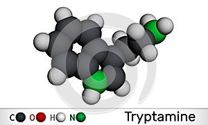Tryptamine molecule. It is aminoalkylindole. Molecular model. 3D rendering photo