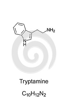 Tryptamine. Skeletal and structural formula photo
