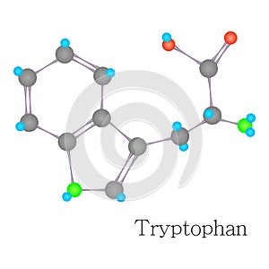 Tryptophan 3D molecule chemical science