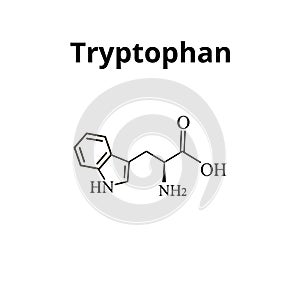 Tryptophan amino acid. Chemical molecular formula of tryptophan amino acid. Vector illustration on isolated background