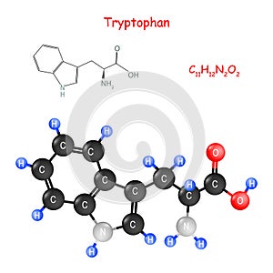 Tryptophan. Chemical structural formula and model of molecule