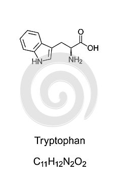 Tryptophan, skeletal formula and molecular structure