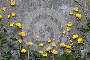 TrÃ³llius. Yellow flowers, stems and petals on a wooden background