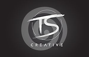 TS Brush Letter Logo Design. Artistic Handwritten Letters Logo C