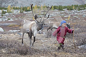 Tsaatan boy, dressed in a traditional deel playing outside