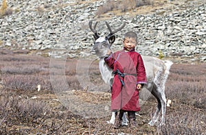 Tsaatan boy, dressed in a traditional deel with a reindeer in a