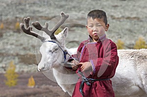 Tsaatan boy, dressed in a traditional deel with a reindeer in a photo