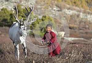 Tsaatan boy, dressed in a traditional deel with a reindeer photo