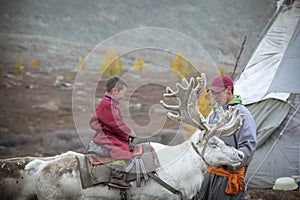 Tsaatan boy riding a reindeer in northern Mongolia