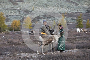 tsaatan couple with their reindeer in Northern Mongolian landscape