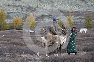 tsaatan couple with their reindeer in Northern Mongolian landscape