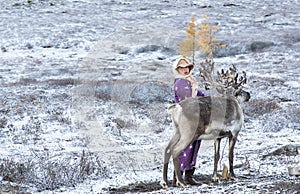 Tsaatan lady with her reindeer photo