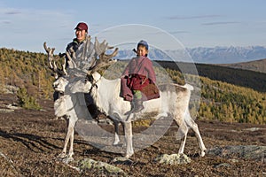 Tsaatan man and boy, dressed in a traditional deels, with his reindeers