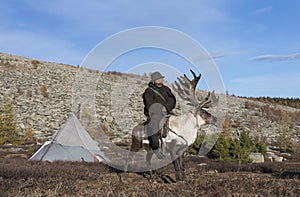 tsaatan man, dressed in a traditional deel, with his reindeers