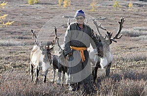 Tsaatan man, dressed in a traditional deel, with his reindeers