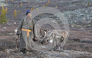 Tsaatan man, dressed in a traditional deel, with his reindeers