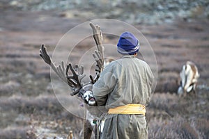 Tsaatan man, dressed in a traditional deel, with his reindeers