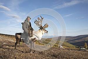 tsaatan man, dressed in a traditional deel, riding his reindeers