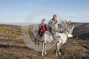 tsaatan man, dressed in a traditional deel, riding his reindeers photo