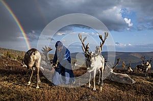 Tsaatan man with his reindeer
