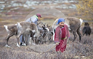 Tsaatan nomad boy in northern Mongolia photo
