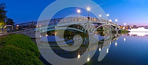 Tsaritsino bridge at night