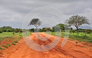 Tsavo East National Park Kenya