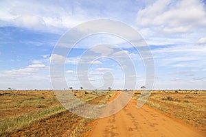 Tsavo East National Park, Kenya