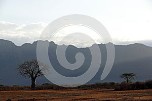 Tsavo West Scenery