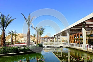 Tsel Tmarim - Green oasis in the Arava desert, Israel