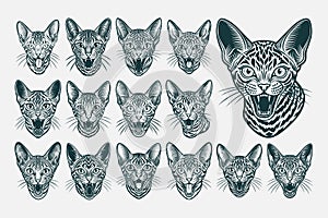 Tshirt illustration of meowing egyptian mau cat head design set