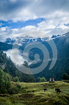 Tshoka Village, Sikkim, India