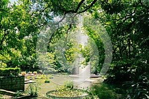 Tsim Sha Tsui Kowloon Park green forest and fountain in Hong Kong