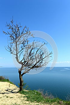 Tsimlyansk reservoir in the Rostov region. photo