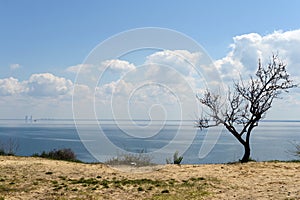 Tsimlyansk reservoir in the Rostov region. photo