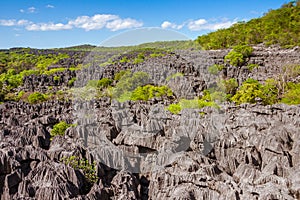 The Tsingy of Ankarana