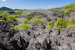 The Tsingy of Ankarana